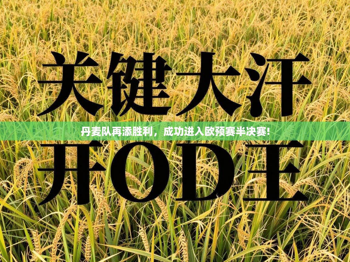 丹麦队再添胜利，成功进入欧预赛半决赛!  第1张